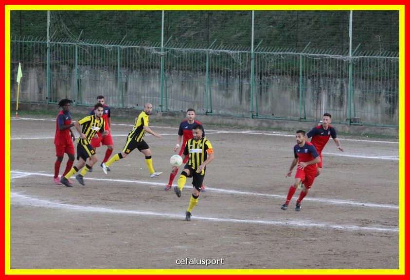 181111 Cepha_Milazzo 242_tn.JPG